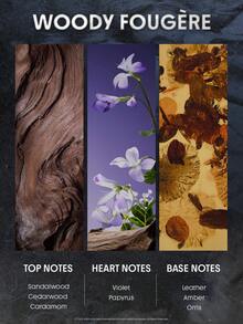 The Twilight Saga X SHEGLAM Soulmates Profumo Solido Marchio Bellezza Trucco Cosmetico Per Donne Ragazze Perfetto Per Autunno Inverno Ideale Per Y2K Elegante Moda Adatto Per Compleanno Natale Presente Festa Pronto Migliore Colore