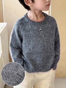 SHEIN Little Byeori 男童休闲圆领长袖套头毛衣