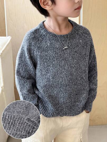SHEIN Little Byeori 男童休闲圆领长袖套头毛衣