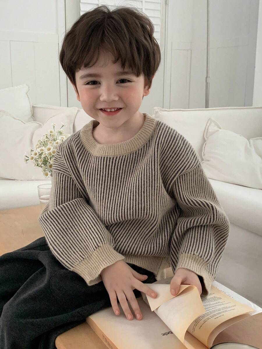 DAZY 幼儿男童宽松休闲条纹针织毛衣，基本款圆领长袖，秋季