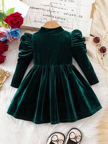 Elegant & Cute Velvet Green Long Sleeve Dress For Baby Girl