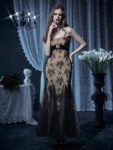 Glisette 女士黑色蕾丝抹胸高腰修身中长连衣裙 - 黑色 - 查看 6