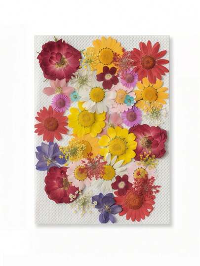 42 piezas de flores naturales secas y coloridas - Adecuadas para arte de uñas, elaboración de velas, manualidades con resina y relleno de moldes de resina DIY