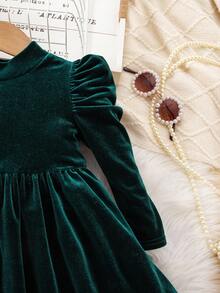 Elegant & Cute Velvet Green Long Sleeve Dress For Baby Girl