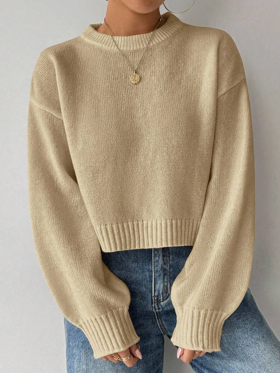 EMERY ROSE Women's Solid Color Simple Casual Crew Neck Long Sleeve White Sweater - Apricot - View 1