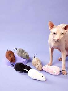 Zazumi 猫玩具发条老鼠造型玩具老鼠猫玩具上链赛车老鼠小猫毛绒玩具宠物猫户外小猫玩耍