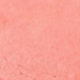 Shell Peach