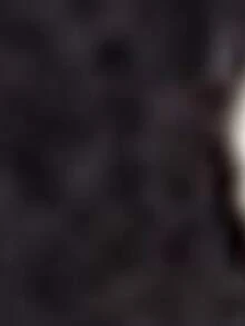 PETSIN 1pc Christmas Pet Cat Dog Universal Green Diamond Grid Elk Snowflake Cute Pattern Jacquard Knitted Elastic Comfortable Dog Christmas Sweater