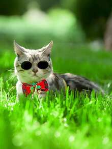 PETSIN 1 件宠物圣诞领结铃铛项圈，圣诞元素印花，狗领结，猫单蝴蝶结项圈，宠物节日装饰，宠物领结，宠物