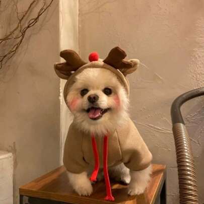 PETSIN 1PC Christmas Dog Costume Transformed Into Dog And Cat Clothes For Small To Medium-Sized Dogs. Fall And Winter Pet Supplies For Pets. Teddy Bear And Mastiff Cat Clothing.