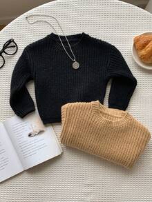 SHEIN 男婴保暖内衬圆领长袖卫衣套装（2件装），舒适休闲日常基础款，适合室内、室外、日常穿着、运动、派对、节日、街头风、万圣节、圣诞节、秋冬季等场合。 - 彩色 - 查看 6