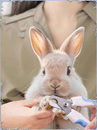 1 件专业宠物兔子指甲钳锉刀剪刀磨床适用于兔子，不锈钢小狗爪子脚刀宠物指甲美容钳修剪器