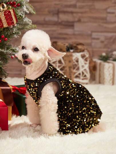 PETSIN 圣诞节黑色和金色闪光公主裙、宠物狗和猫派对服装