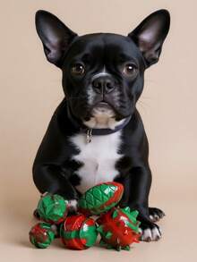 PETSIN Juguete masticable y de masticación a juego de colores navideños para mascotas, palo para moler los dientes, pelota elástica, juguete interactivo para aliviar el estrés - Multicolor - Ver 7