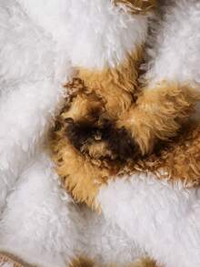 Cozy Pixies Tuta intera con cappuccio a orecchie e stampa a stelle per neonato maschio, maniche lunghe, pantaloni lunghi, casual e versatile, fodera termica spessa per autunno/inverno