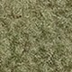 薄荷綠
