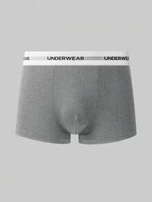 SHEIN 5pcs/Pack Men's Solid Color Briefs With Letter Waistband - Multicolor - View 6