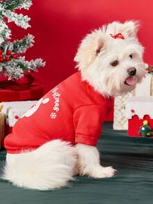 PETSIN 1 قطعة كلب/قطة عيد الميلاد عالمي بطبعة سانتا كلوز والثلج والرسائل الجميلة، بطانية قطيفة حمراء دافئة ومريحة للكلاب في عيد الميلاد