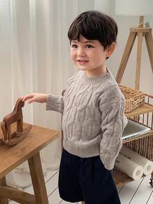 DAZY 男婴圆领麻花针织扭纹休闲长袖毛衣，韩版秋冬款