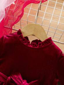 SHEIN Vestido de manga larga de terciopelo burdeos elegante para niña bebé