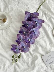 1 件人造兰花茎真实触感乳胶蝴蝶兰枝仿蕙兰花，情人节礼物生日毕业家居装饰返校房间装饰学校用品 - 西瓜粉 - 查看 7