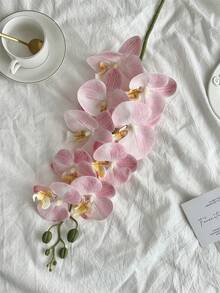 1 件人造兰花茎真实触感乳胶蝴蝶兰枝仿蕙兰花，情人节礼物生日毕业家居装饰返校房间装饰学校用品 - 西瓜粉 - 查看 9