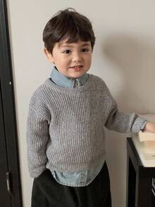 DAZY 幼儿男童圆领纯色休闲韩版长袖毛衣 - 灰色 - 查看 6