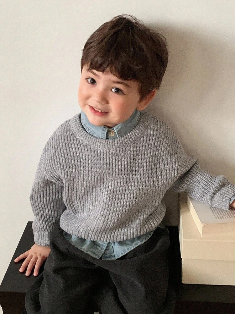 Toddler Boys' Crew Neck Solid Color Casual Korean Style Long Sleeve Sweater
