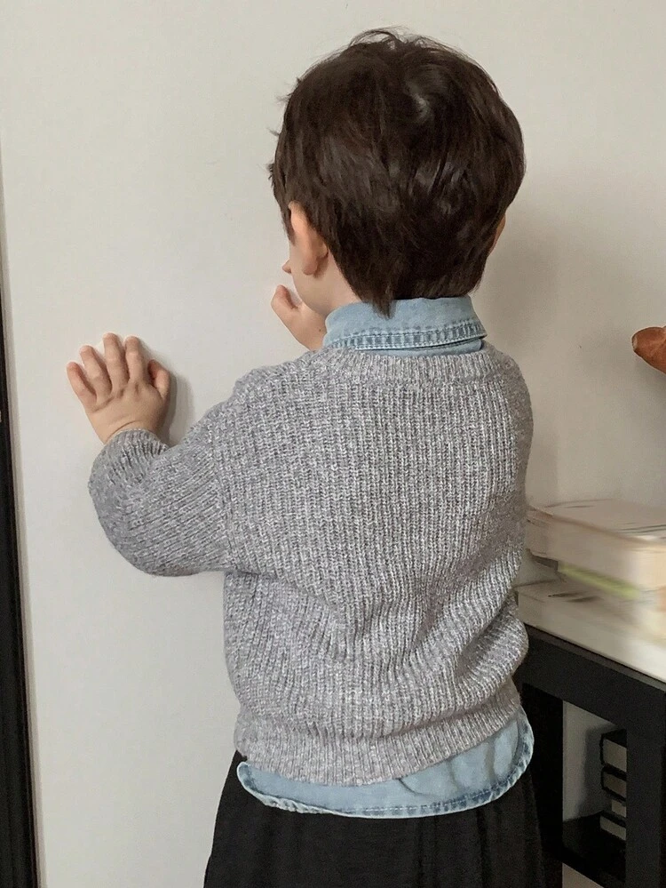 Toddler Boys' Crew Neck Solid Color Casual Korean Style Long Sleeve Sweater