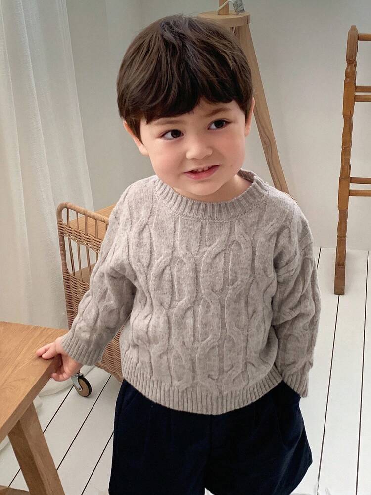 Baby Boys' Crew Neck Cable Knit Twist Casual Long Sleeve Sweater, Korean Style Fall,Winter