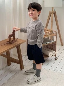 DAZY 男婴圆领麻花针织扭纹休闲长袖毛衣，韩版秋冬款