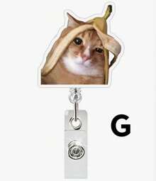 1 Túi đựng thẻ cảm xúc bằng acrylic có thể thu gọn, xoay được, dùng cho bác sĩ, y tá, móc khóa thẻ, khóa kéo dễ dàng. - Nhiều màu - Xem 10