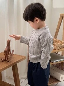 DAZY 男婴圆领麻花针织扭纹休闲长袖毛衣，韩版秋冬款