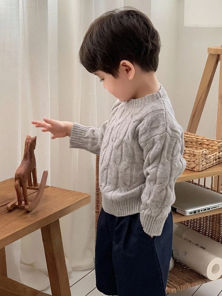 Baby Boys' Crew Neck Cable Knit Twist Casual Long Sleeve Sweater, Korean Style Fall,Winter