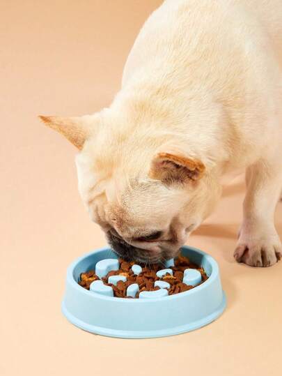 Zazumi Pet Supplies Dog Slow Feeder Bowl Flower Shape Anti-Choke Plastic Feeding Bowl For Dogs