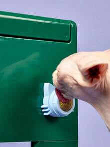 Zazumi PETSIN 1个猫薄荷球 趣味可舔猫零食 猫薄荷球 小猫玩耍咀嚼清洁牙齿玩具 适合小型和中型猫咪 宠物用品 - 彩色 - 查看 3