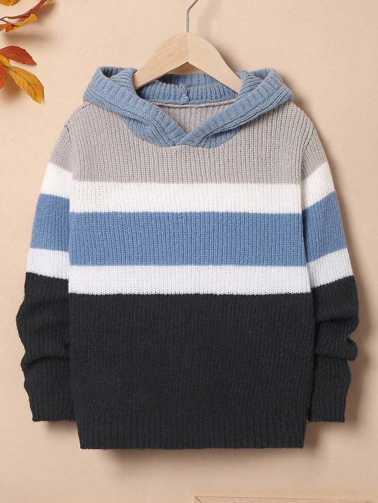 Tween Boys Color Block Hooded Sweater,In Fall/Winter