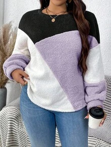 EMERY ROSE Plush Warm Color Block Crew Neck Plus Size Sweatshirt Winter Tops For Women Purple Sweater Pullover For Women Women Sweater Sweater Tops