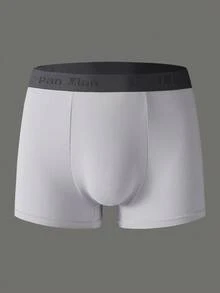 Manfinity Underwear&Sleepwear Basics 5pcs/Pack Plus Size Men's Boxer Briefs