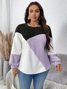 EMERY ROSE Plush Warm Color Block Crew Neck Plus Size Sweatshirt Winter Tops For Women Purple Sweater Pullover For Women Women Sweater Sweater Tops
