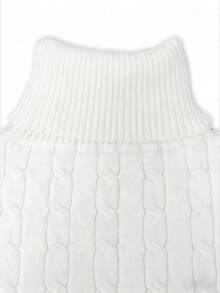 Franclia New Autumn/Winter Simple Elegant Versatile Thickened Thermal Lined Turtleneck Pullover Sweater For Women - White - View 5