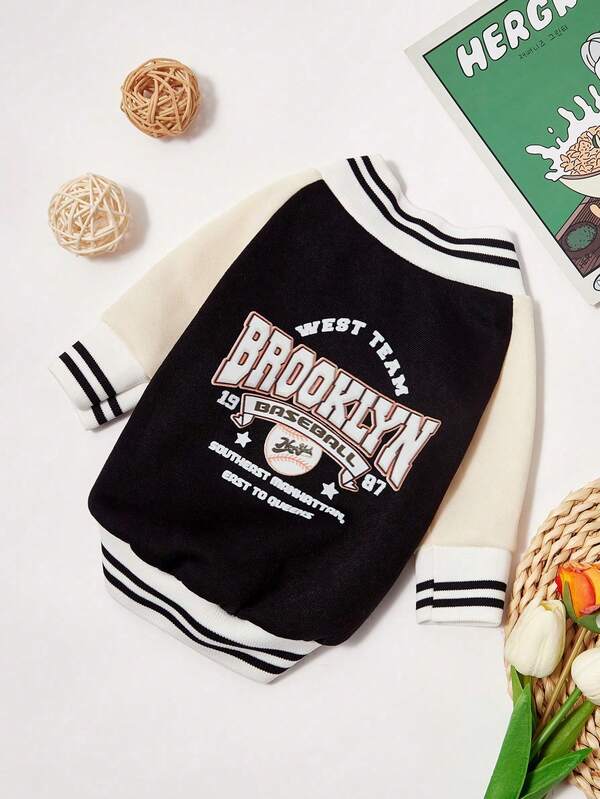 PETSIN 1pc Pet Bomber Jacket, Black Contrast Color Cardigan Sweater