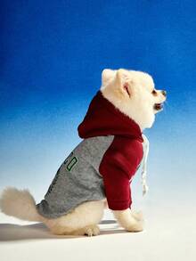 PETSIN 1件宠物狗猫墨西哥字母印花撞色抓绒连帽衫 - 彩色 - 查看 3