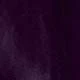 Violet Purple