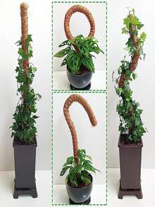 1 Stück Kokos-Kokosfaser-Moosstab für Pflanzen wie Monstera, biegsame Pflanzenstäbe zur Unterstützung, Pflanzenstäbe für Zimmerpflanzen, Kokos-Kokosfaser-Pflanzenstab, Monstera-Moosstab für kletternde Pflanzen - Braun - View 6