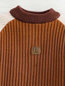 SHEIN 1 buah Sweater Leher Bulat untuk Anak Laki-Laki, Desain Blok Warna Rajutan Bertekstur Modis Era 80-an, Nyaman dan Praktis untuk Sekolah, Musim Gugur, dan Acara Kembali ke Sekolah. - MultiWarna - View 5