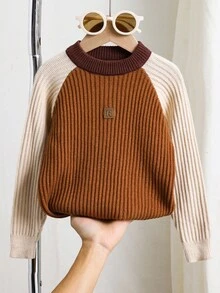 SHEIN 1 buah Sweater Leher Bulat untuk Anak Laki-Laki, Desain Blok Warna Rajutan Bertekstur Modis Era 80-an, Nyaman dan Praktis untuk Sekolah, Musim Gugur, dan Acara Kembali ke Sekolah. - MultiWarna - View 4