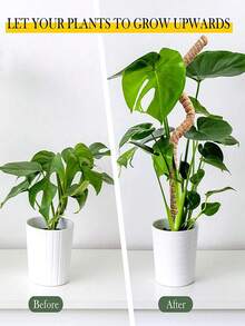 1 Stück Kokos-Kokosfaser-Moosstab für Pflanzen wie Monstera, biegsame Pflanzenstäbe zur Unterstützung, Pflanzenstäbe für Zimmerpflanzen, Kokos-Kokosfaser-Pflanzenstab, Monstera-Moosstab für kletternde Pflanzen - Braun - View 7