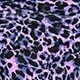 Violet Purple