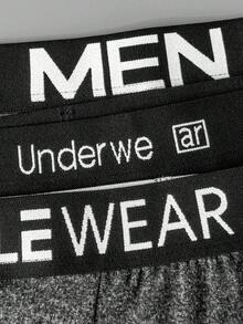 EasyFave Basic Casual Comfortable Fashion Waistband Young Men's Boxer Briefs (10-Pack) - Multicolor - View 7